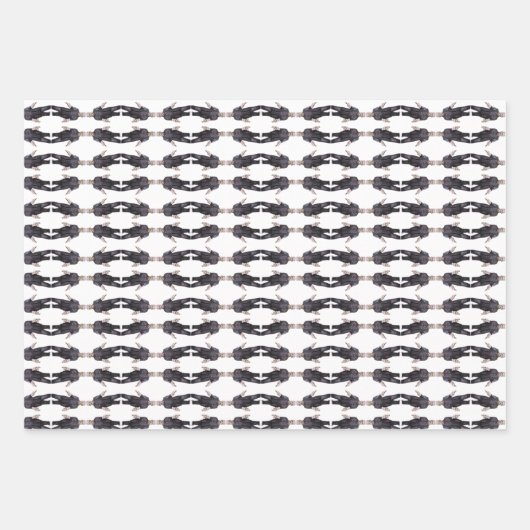 Frankenstein inpakpapier vellen (Voorkant 2)