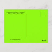 Frankenstein's maleficent briefkaart (Achterkant)