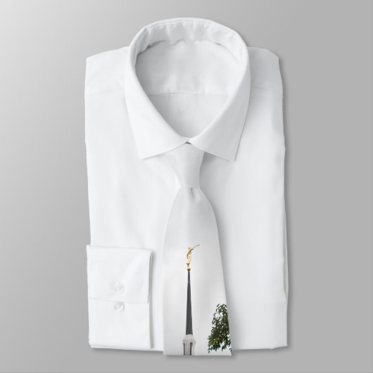 Frankfurt Temple Stropdas (Gebonden)