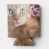 Frankie Blikjeskoeler (Achterkant)