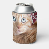 Frankie Blikjeskoeler (Blikje Achterkant)