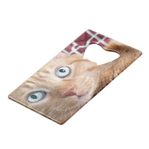 Frankie Creditkaart Flessenopener