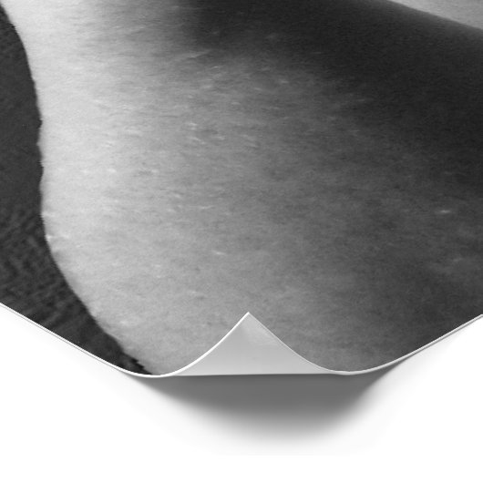 Frankie II Fists Poster (Hoek)