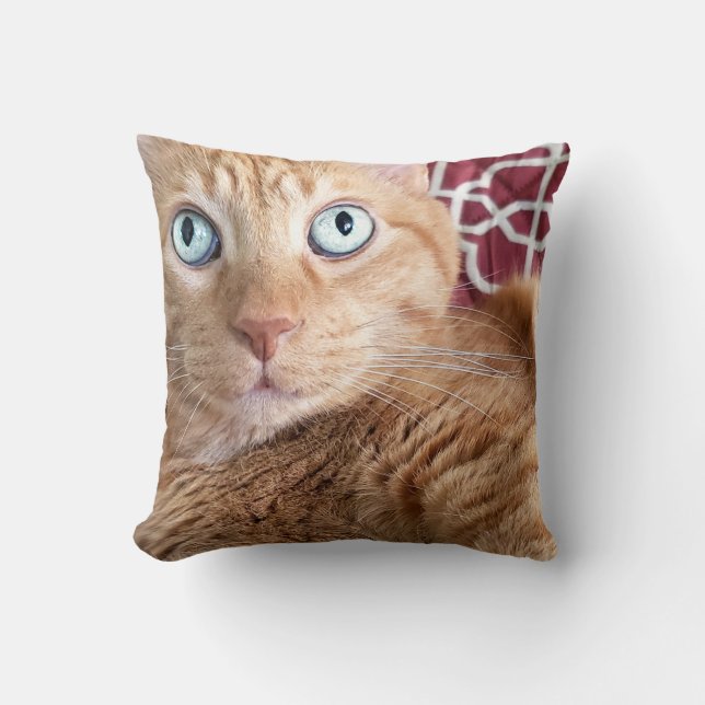 Frankie Kussen (Voorkant)