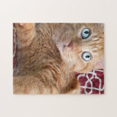 Frankie Legpuzzel (Horizontaal)