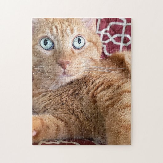 Frankie Legpuzzel (Verticaal)