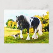 "Frankie & Tessa" Briefkaart (Voorkant)