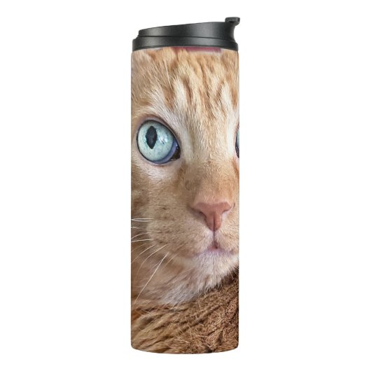 Frankie Thermosbeker (Gedraaid links)