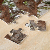 Frankincense Trees, Homhil Plateau, Socotra Island Legpuzzel (Zijkant)