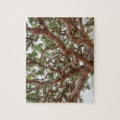 Frankincense Trees, Homhil Plateau, Socotra Island Legpuzzel (Verticaal)