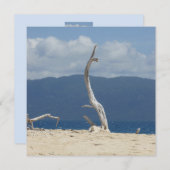 Frankland Islands - Australia Flat Kaart (Voorkant / Achterkant)