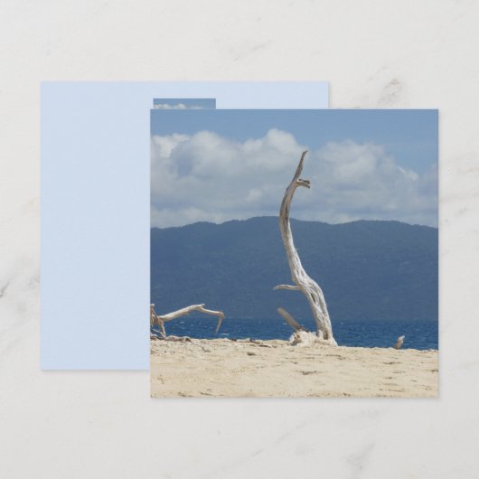 Frankland Islands - Australia Flat Kaart (Voorkant / Achterkant)