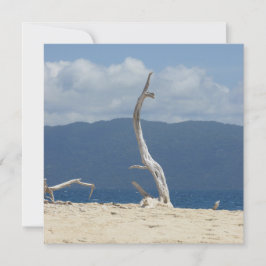Frankland Islands - Australia Flat Kaart