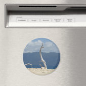 Frankland Islands - Australia Magnet (Insitu (Vaatwasser))