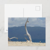 Frankland Islands - Australië Briefkaart (Voorkant / Achterkant)