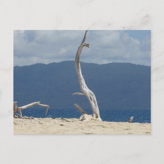 Frankland Islands - Australië Briefkaart (Voorkant)