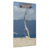 Frankland Islands - Australië Klembord (Rechts)