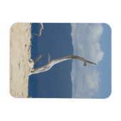 Frankland Islands Flexible Photo Magnet Magneet (Horizontaal)