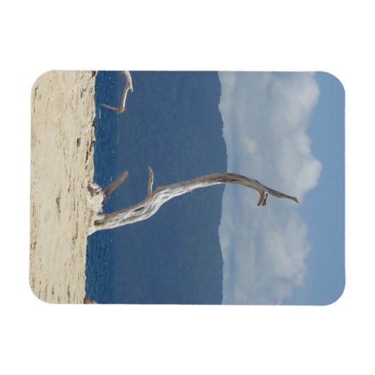 Frankland Islands Flexible Photo Magnet Magneet (Horizontaal)