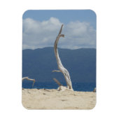 Frankland Islands Flexible Photo Magnet Magneet (Verticaal)