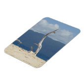 Frankland Islands Flexible Photo Magnet Magneet (Linkerzijde)