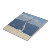 Frankland Islands Keramische Tegel Tegeltje (Zijkant)