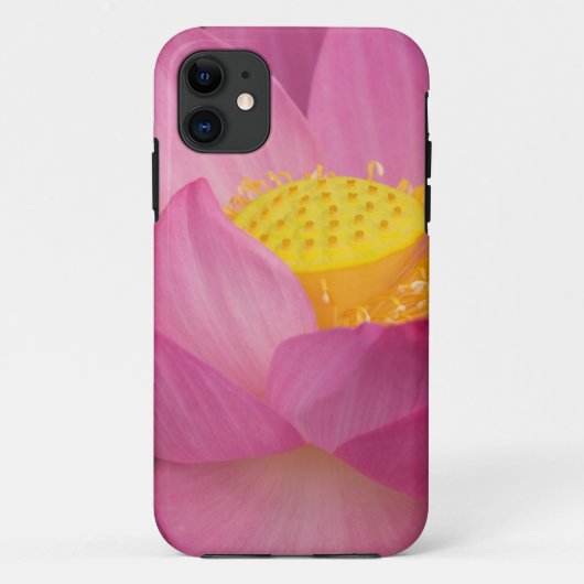 Franklin NC, Perry's Water Garden, Lotus 2 Case-Mate iPhone Case (Achterkant)