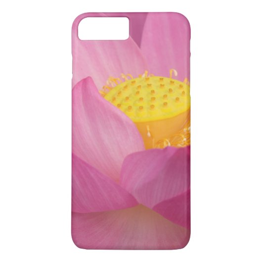 Franklin NC, Perry's Water Garden, Lotus 2 Case-Mate iPhone Case (Achterkant)