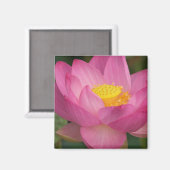 Franklin NC, Perry's Water Garden, Lotus 2 Magneet (Voorkant / Achterkant)