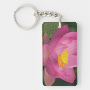 Franklin NC, Perry's Water Garden, Lotus 2 Sleutelhanger