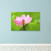 Franklin NC, Perry's Water Garden, Lotus Canvas Afdruk (Insitu (Houten vloer))