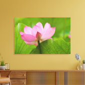 Franklin NC, Perry's Water Garden, Lotus Canvas Afdruk (Insitu (Woonkamer))