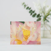 Franklin NC, Perry's Water Garden, Lotus met Briefkaart (Staand voorkant)