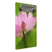Franklin NC, Perry's Water Garden, Lotus Mini Klembord (Schuin)