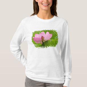 Franklin NC, Perry's Water Garden, Lotus T-shirt