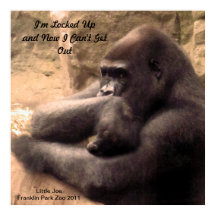 Franklin Park Zoo Gorilla Print