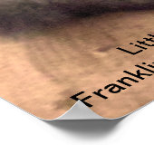 Franklin Park Zoo Gorilla Print (Hoek)