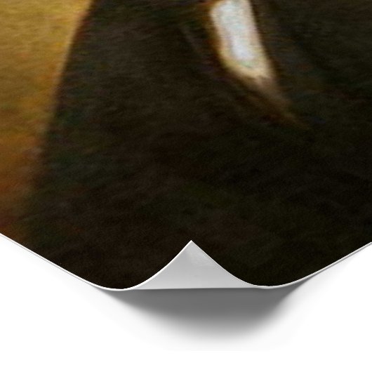 Franklin Pierce 14e President Poster (Hoek)