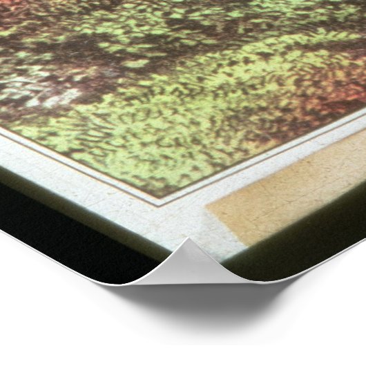 Franklin's experiment in elektriciteit poster (Hoek)