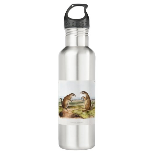Franklin's Marmot Squirrel Camping Gear Deco Gifts Waterfles (Voorkant)