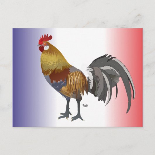 Frankreich - France Postkarte Briefkaart (Voorkant)