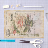 FRANKRIJK AFVALSTUK TISSUEPAPIER (Craft)