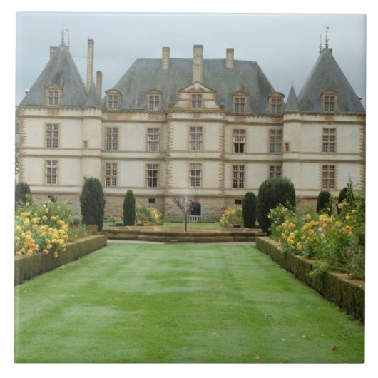 Frankrijk, Bourgogne, Cormatin, Chateau de Cormati Tegeltje (Voorkant)