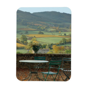 Frankrijk, Bourgogne, regio Maconnais, Kasteel de Magneet