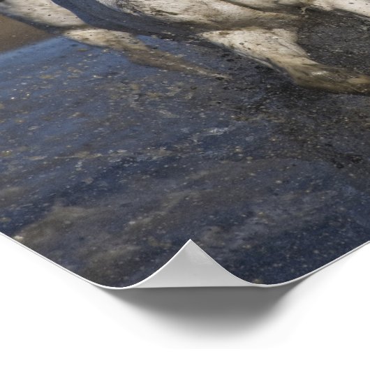 Frankrijk, Camargue. Horses run through the 2 Poster (Hoek)