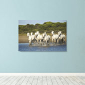 Frankrijk, Camargue. Paarden door de estuarium 3 Canvas Afdruk (Insitu (Houten vloer))