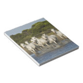 Frankrijk, Camargue. Paarden door de estuarium 3 Notitieblok (Schuin)
