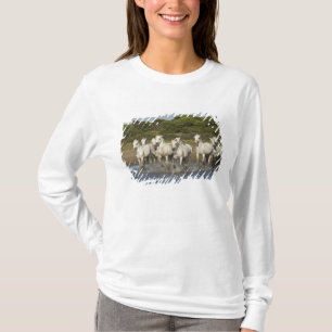 Frankrijk, Camargue. Paarden rennen door het estua T-shirt