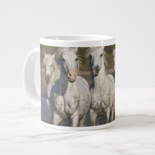 Frankrijk, Camargue. Paarden rennen Grote Koffiekop