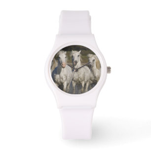 Frankrijk, Camargue. Paarden rennen Horloge